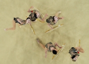 开云体育平台APP-俄罗斯体操队体现出色，团体赛斩金