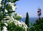 开云体育中国-掘金强行终结雷霆，詹姆斯高光表现，一场定义时代的对决