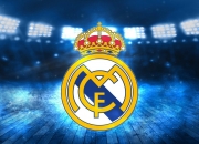 开云官方app入口-加克波教科书级表现引领荷兰，巴拉圭战术制胜突尼斯