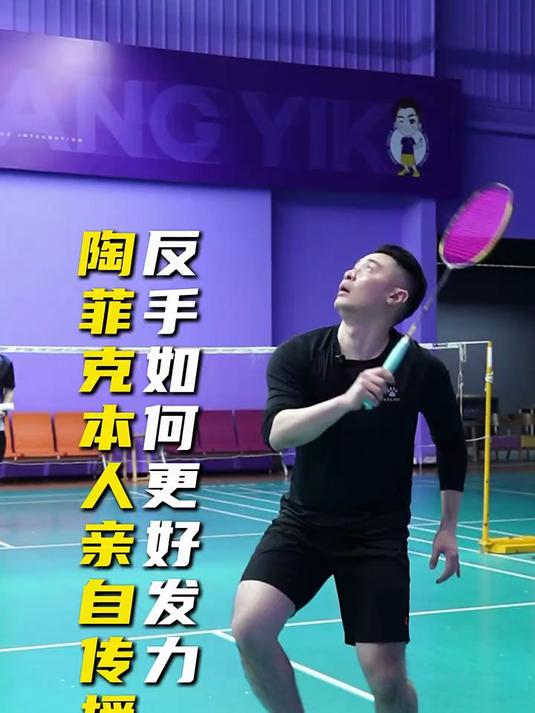 马来西亚羽毛球队绝杀印度羽毛球队，陶菲克关键制胜的简单介绍