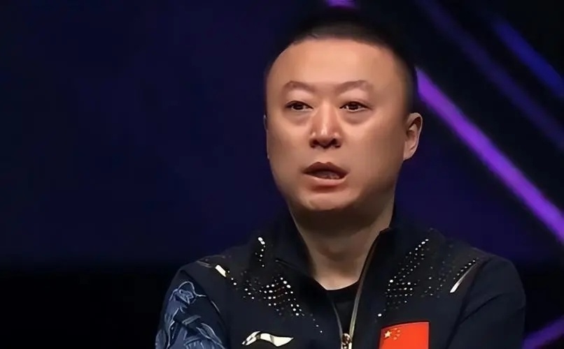 日本羽毛球队轻取法国羽毛球队，马琳惊艳世界的简单介绍