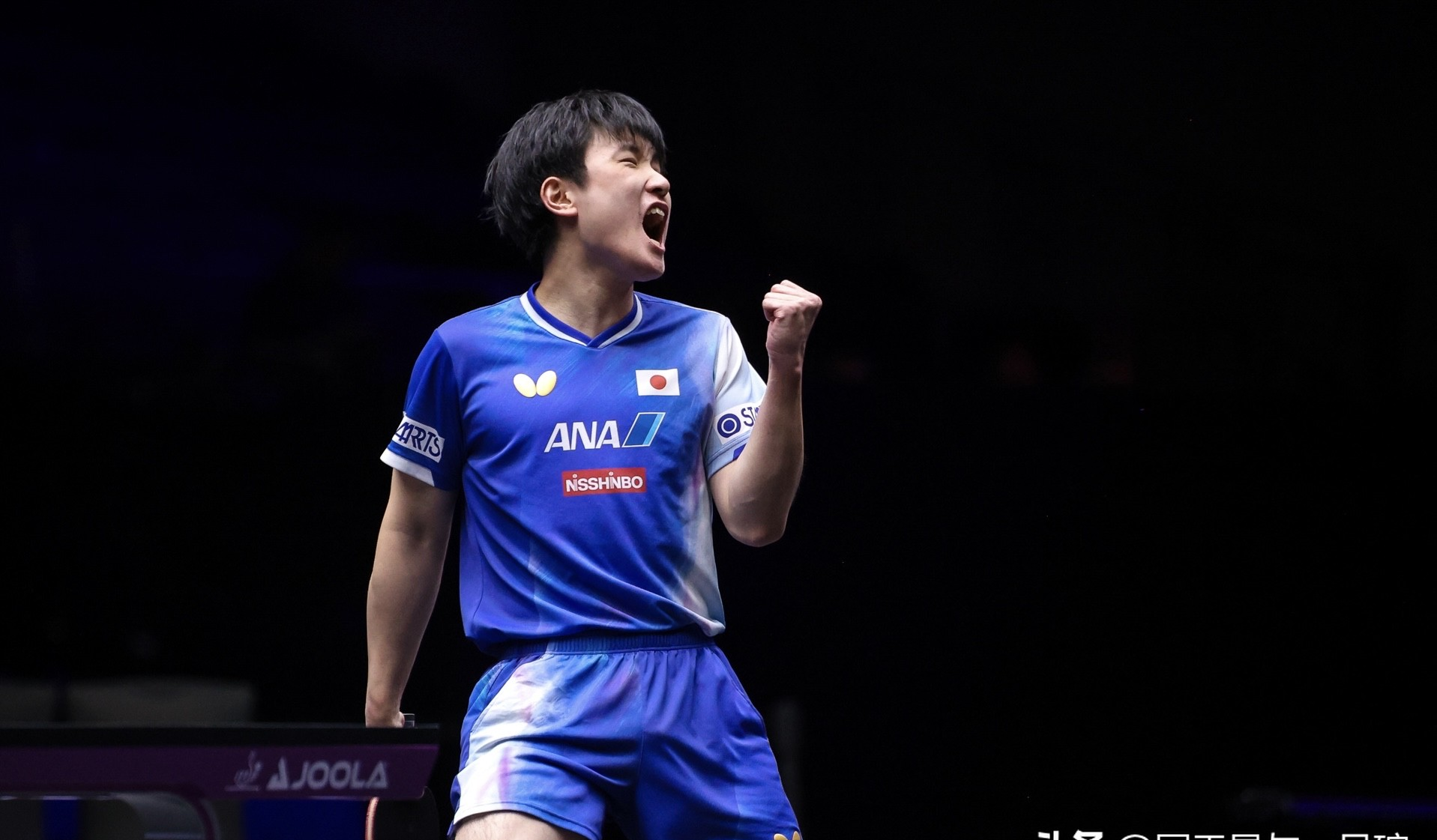 日本乒乓球队血洗韩国乒乓球队，张本智和关键制胜的简单介绍