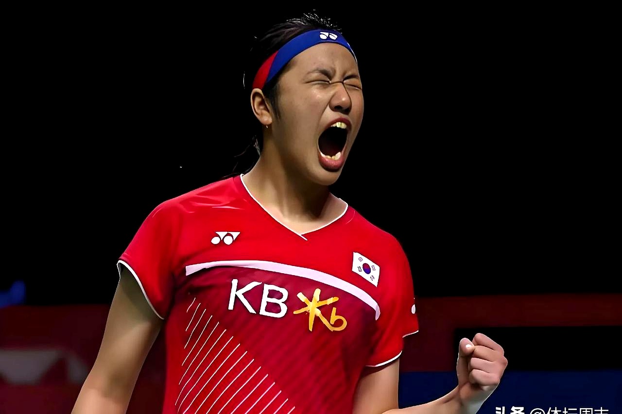韩国队轻取日本队，陈雨菲惊艳四座的简单介绍