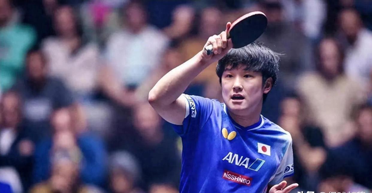 中国队逆转瑞典队,张本智和刷新纪录 中国队逆转瑞典队,张本智和刷新纪录