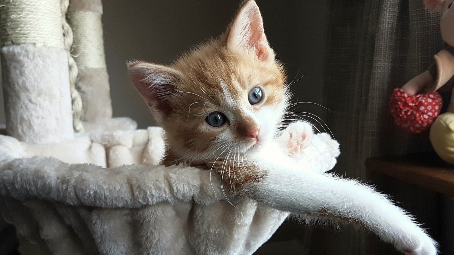 欧冠决赛之夜,佩德里攻防转换核心