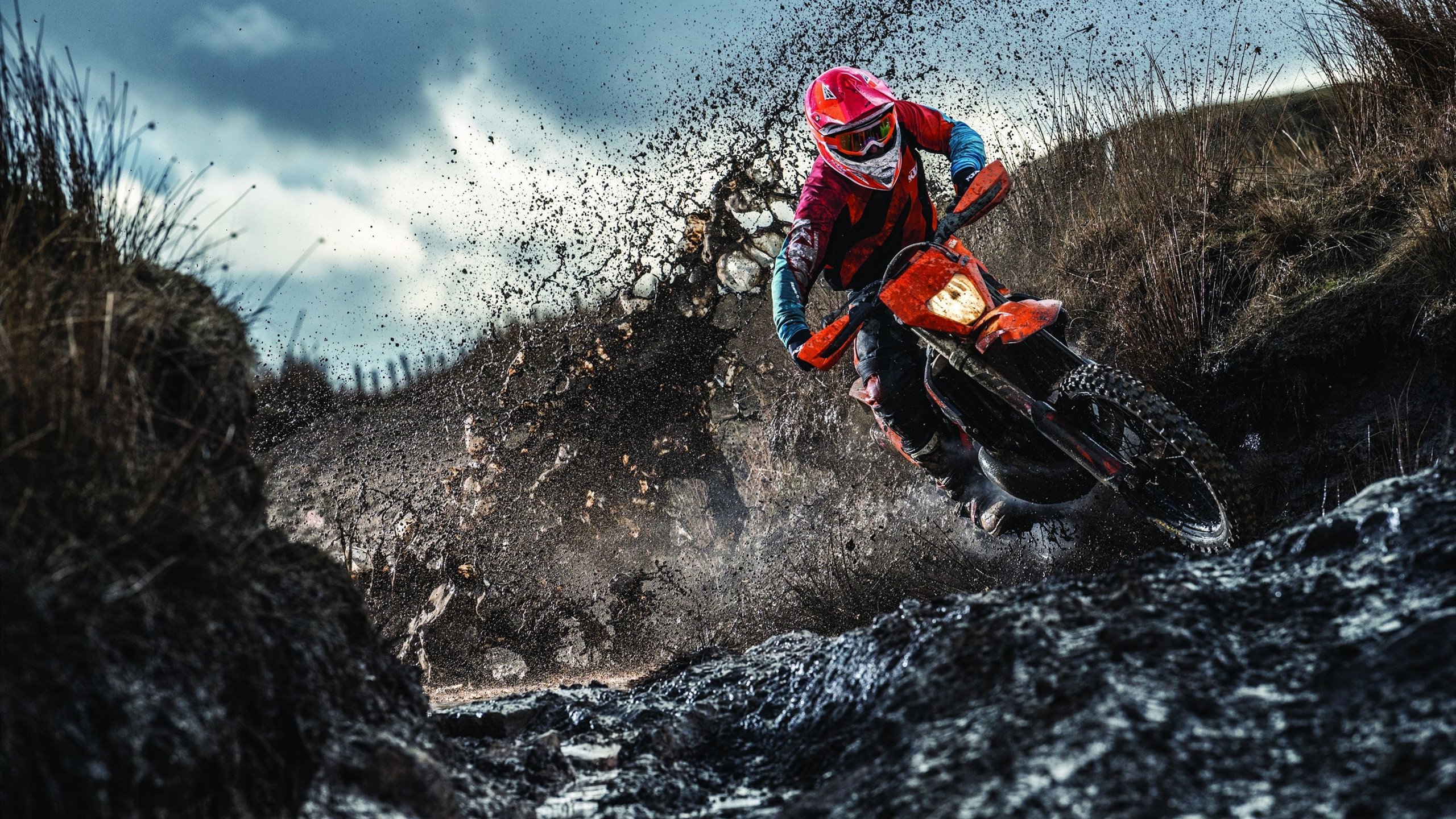 戈贝尔关键回合不手软，魔术完胜广东队，一场跨越篮球世界的战术对话