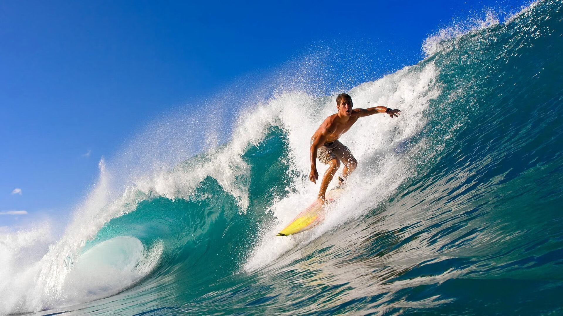 温网横扫联合杯，蒂姆的草地高光，一场定义职业生涯的胜利